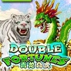 Double Fortune screenshot